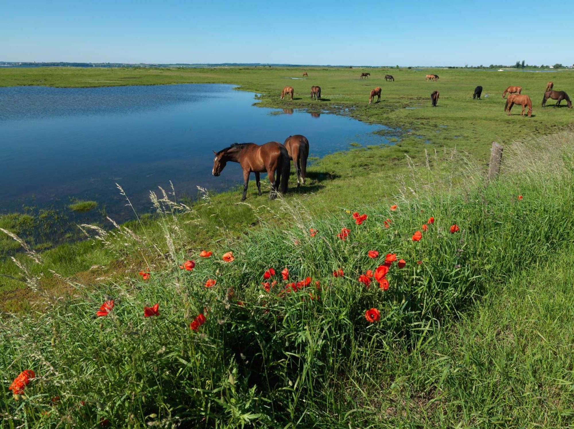 Ferienanlage Poschmann Strohboden Інзель-Пель Екстер'єр фото